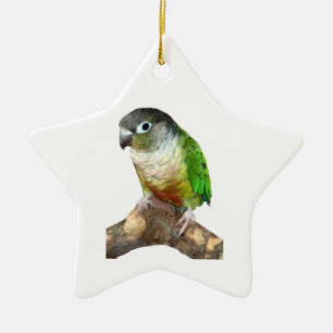Ornamento De Cerâmica Green Cheek Conure