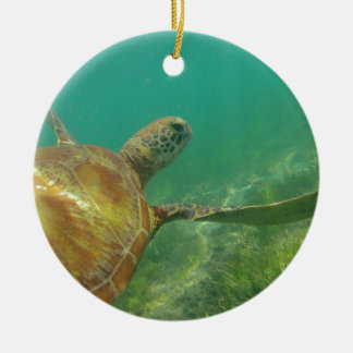 Ornamento De Cerâmica Green-turtle-Great-Barrier-Reef.JPG