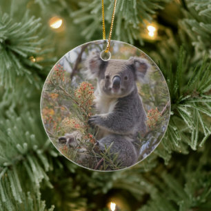 Ornamento De Cerâmica Grevillea Koala Bear