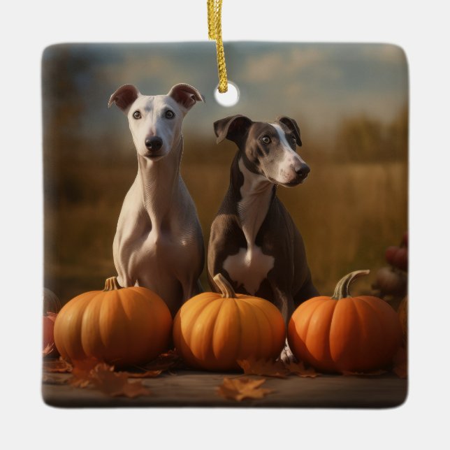 Ornamento De Cerâmica Greyhound Puppy Autumn Delight Pumpkin (Frente)