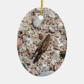 Ornamento De Cerâmica Grilo de Jiminy