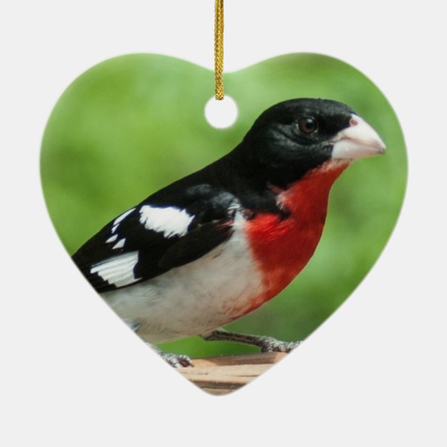 Ornamento De Cerâmica Grosbeak de peito rosa (Verso)