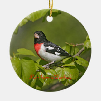 Ornamento De Cerâmica Grosbeak, de peito rosa, redonda de fotografia
