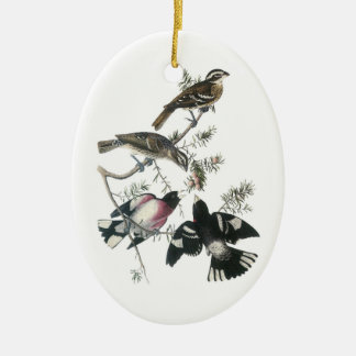 Ornamento De Cerâmica Grosbeak de rosa por Audubon