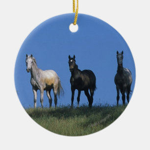 Ornamento De Cerâmica Grupo de árabes