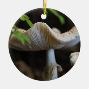 Ornamento De Cerâmica Guarda-chuva do Toadstool