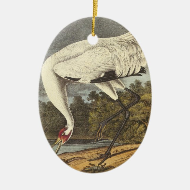 Ornamento De Cerâmica Guindaste gritando, John Audubon (Frente)
