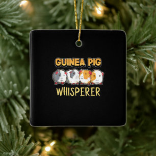 Ornamento De Cerâmica Guiné Pig Guiné Suíno Sussurre Caveira Cuja Cobra