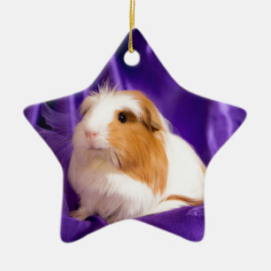 Ornamento De Cerâmica guinea pig
