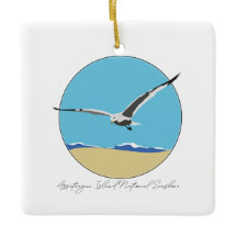 Gull do Mar da Ilha de Assateague em Praia