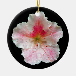 Ornamento De Cerâmica 'Gumpo Azalea Rosa'