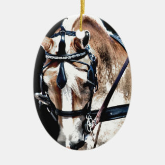 Ornamento De Cerâmica Haflinger