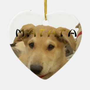 Ornamento De Cerâmica Hakuna Matata Eu sei o que você está pensando