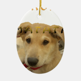 Ornamento De Cerâmica Hakuna Matata Eu sei o que você está pensando