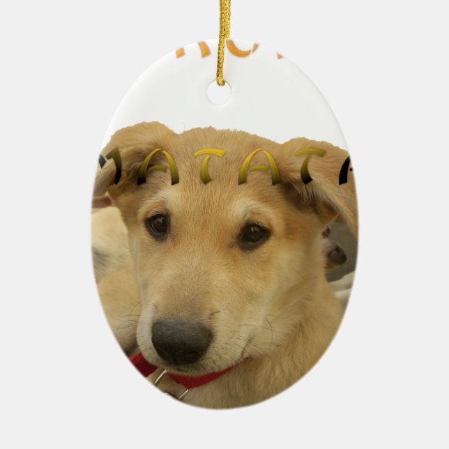 Ornamento De Cerâmica Hakuna Matata Eu sei o que você está pensando (Frente)