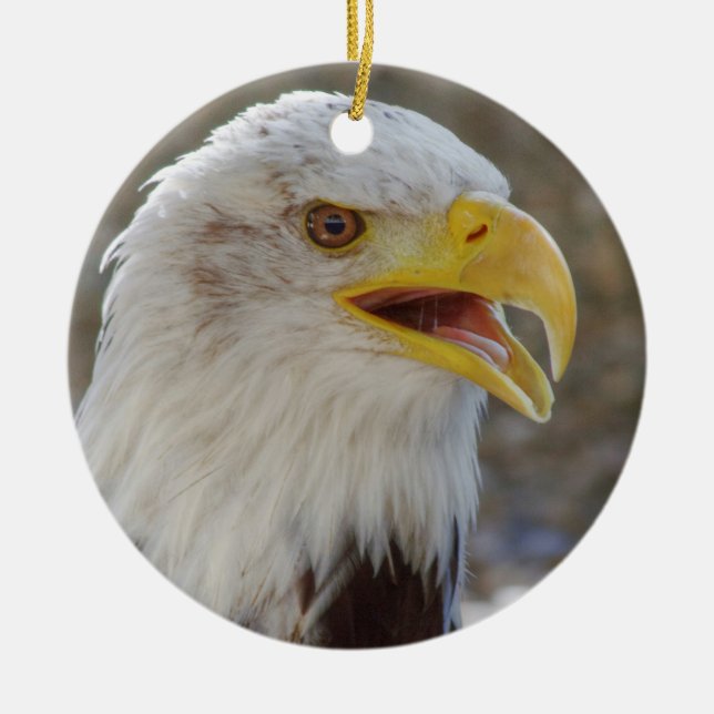 Ornamento De Cerâmica Haliaeetus leucocephalus (Frente)