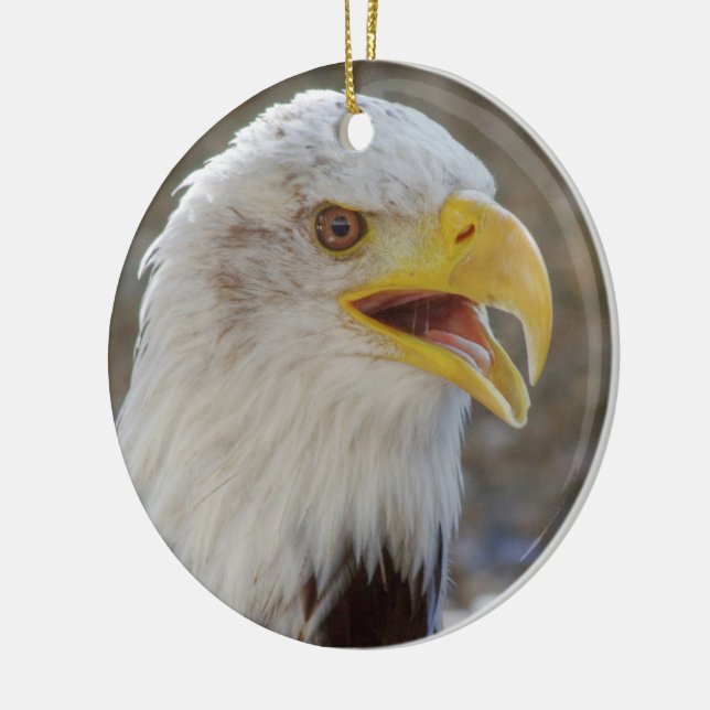 Ornamento De Cerâmica Haliaeetus leucocephalus (Esquerda)