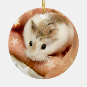 Ornamento De Cerâmica Hammyville - Hamster Bonito
