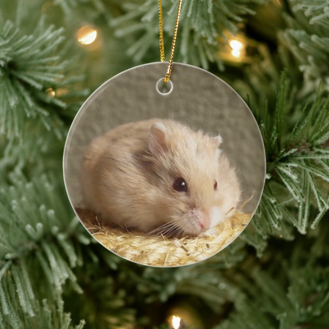 Ornamento De Cerâmica Hamster-anão-russo de Campbell (Árvore)