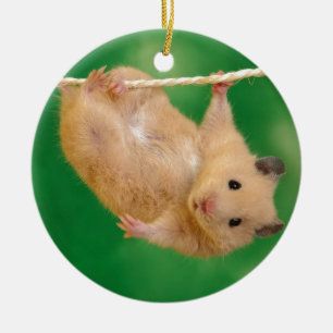 Ornamento De Cerâmica hamster bobo