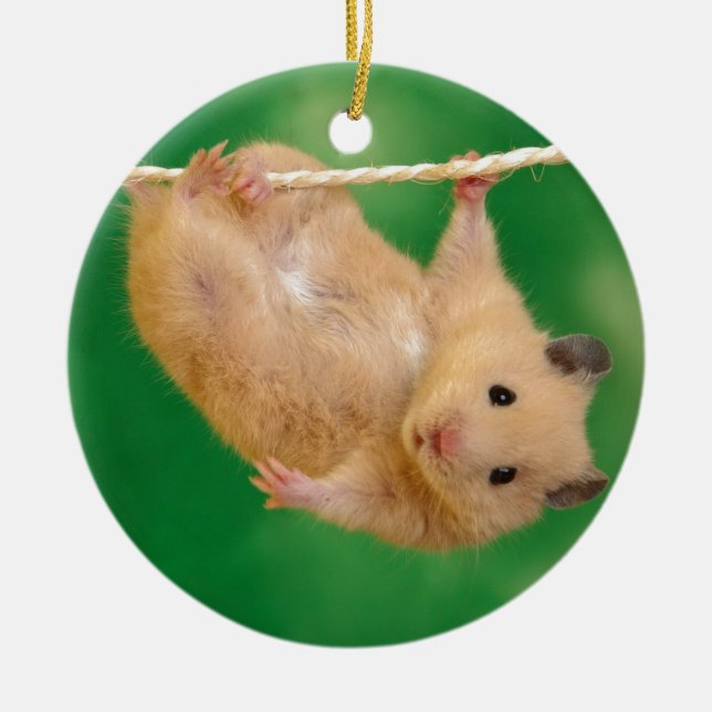 Ornamento De Cerâmica hamster bobo (Frente)