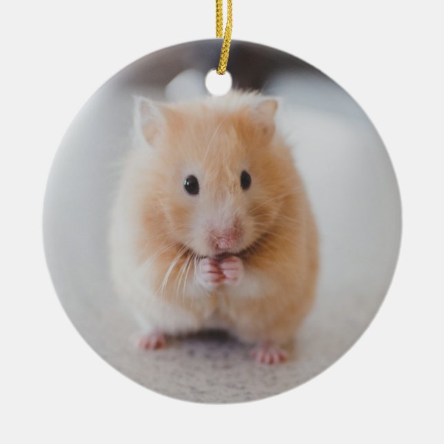 Ornamento De Cerâmica Hamster bonito (Frente)