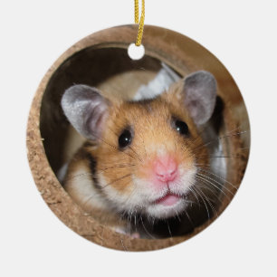 Ornamento De Cerâmica Hamster de Pet Sírio - Hamster Padrão - Urso de