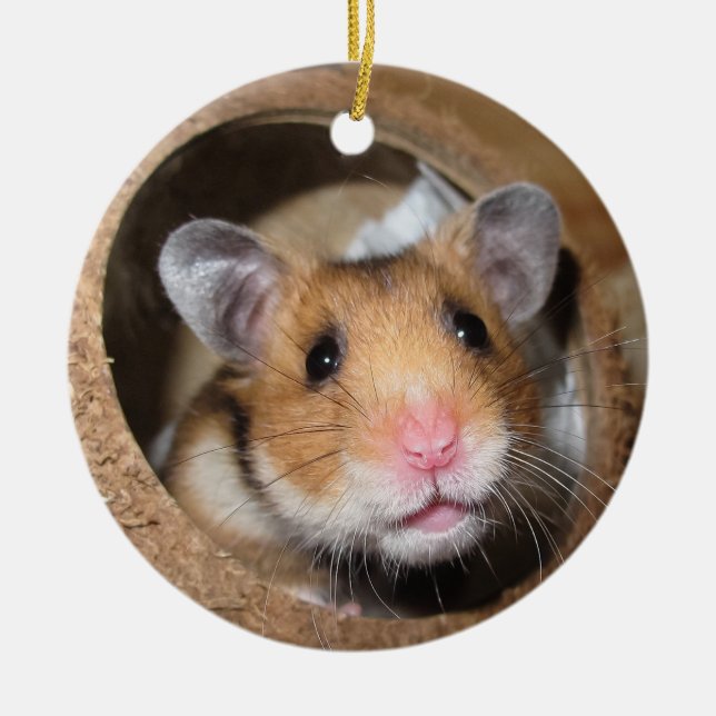 Ornamento De Cerâmica Hamster de Pet Sírio - Hamster Padrão - Urso de Te (Frente)