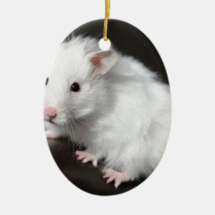 Ornamento De Cerâmica Hamster do urso de ursinho