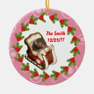 Ornamento De Cerâmica Hamster em um trenó