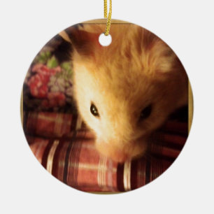 Ornamento De Cerâmica Hamster sírio bonito