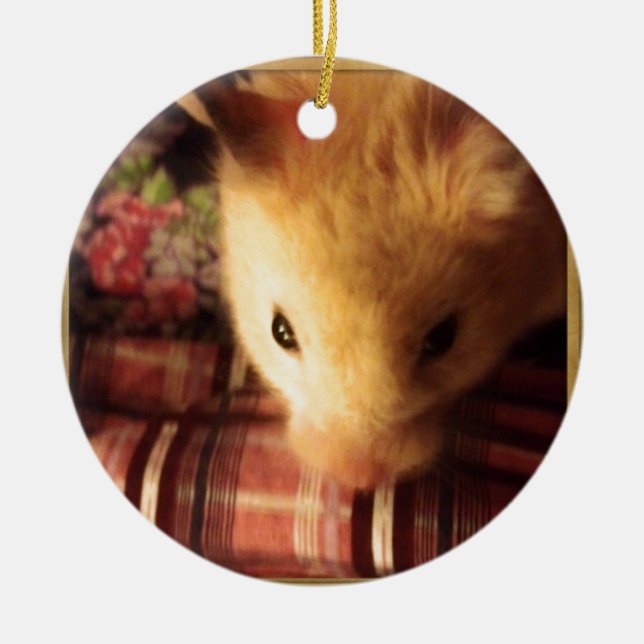 Ornamento De Cerâmica Hamster sírio bonito (Frente)