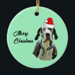 Ornamento De Cerâmica Harlequin Great Dane com Santa Hat<br><div class="desc">Harlequin Great Dane com Santa Hat. Este cachorro grande está pronto para o Natal,  está? Você ama Harli Danes? Ideias de presente de barato para amigos e família.</div>