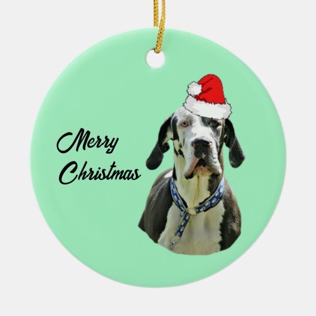 Ornamento De Cerâmica Harlequin Great Dane com Santa Hat (Frente)