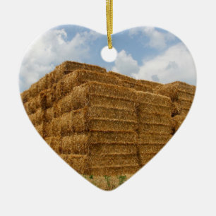 Ornamento De Cerâmica HaY BaLEs