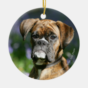 Ornamento De Cerâmica Headshot do cão do pugilista
