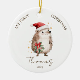Ornamento De Cerâmica Hedgehog Baby 1st Christmas Photo Ornament