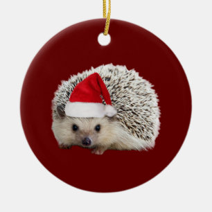 Ornamento De Cerâmica Hedgehog Com Luzes De Chapéu Natal