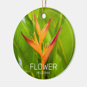 Ornamento De Cerâmica Heliconia Flowers Botânica Garden Design