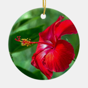 Ornamento De Cerâmica Hibiscus Blossom