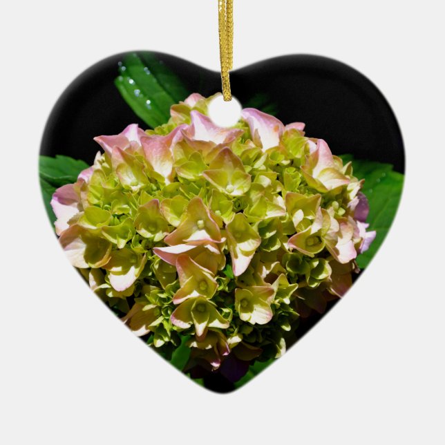 Ornamento De Cerâmica Hídranga floral verde-rosa-esverdeado Elegante (Frente)