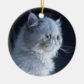 Ornamento De Cerâmica Himalayan Cat