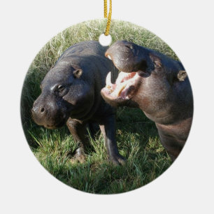 Ornamento De Cerâmica Hippopotamus