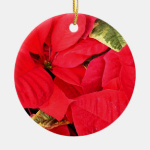Ornamento De Cerâmica Holly Point Poinsettias Holiday Floral