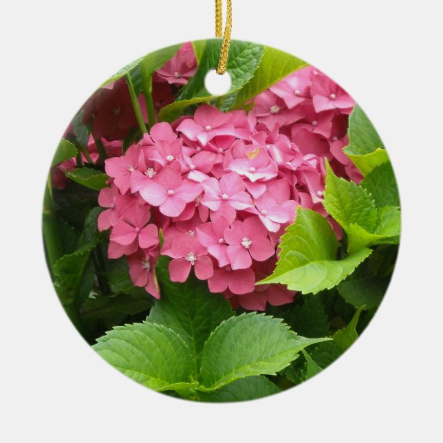 Ornamento De Cerâmica Hortênsia Rosa Brilhante (Frente)