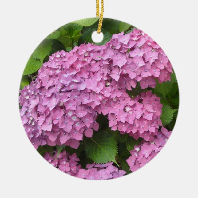 Ornamento De Cerâmica Hortênsias Rosa (Frente)