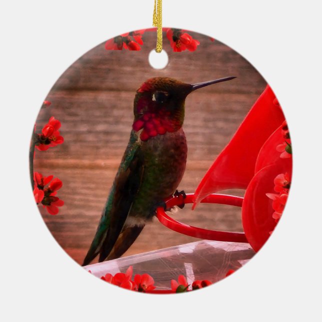 Ornamento De Cerâmica Hummingbird (Traseira)