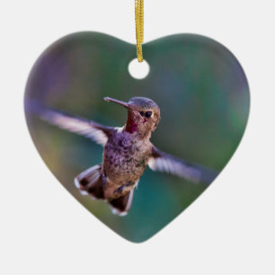 Ornamento De Cerâmica Hummingbird