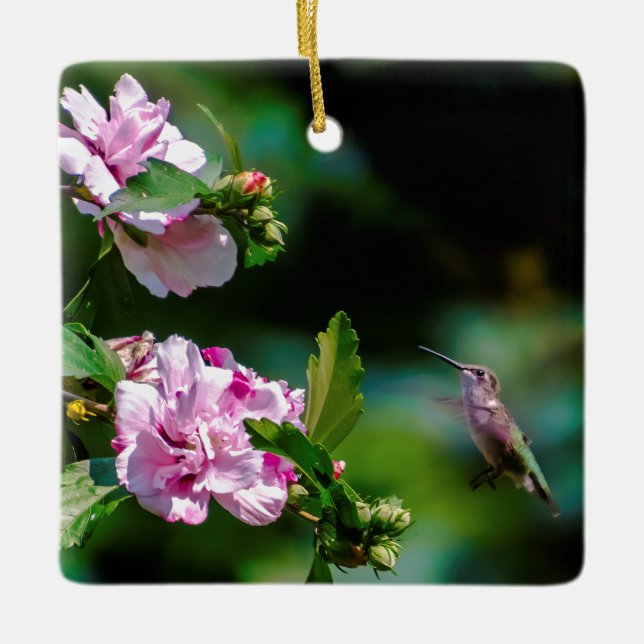 Ornamento De Cerâmica Hummingbird com garganta de rubi - Fotografia orig (Frente)