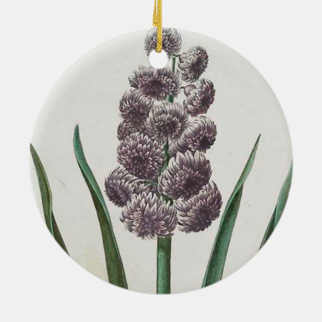 Ornamento De Cerâmica Hyacinth Flower (por Johann Michael Seligmann) (Traseira)